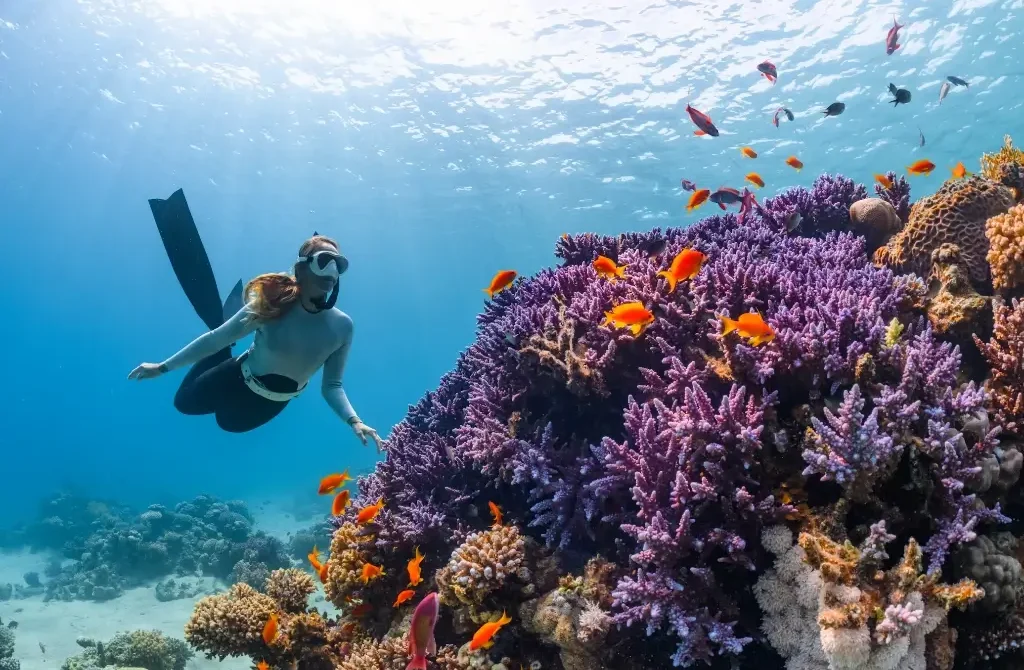 Behind the Scenes: A Day in the Life of a Travel Planner